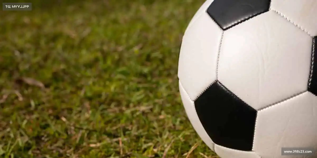 15vip太阳集团——用汗水浇灌热爱,以坚持成就精彩!🏋️♀️